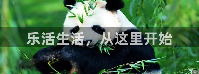 摩根娱乐云挂机项目