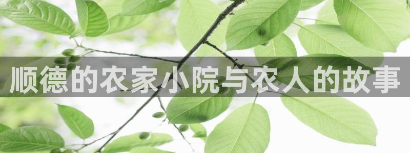 摩根娱乐文化有限公司