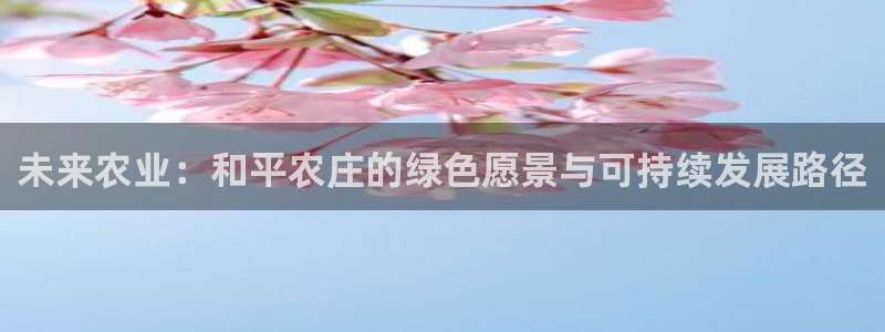 摩根娱乐宝微交易