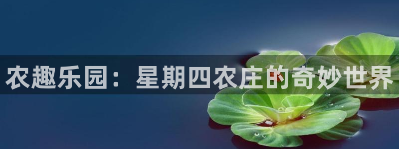 义务摩根娱乐会所