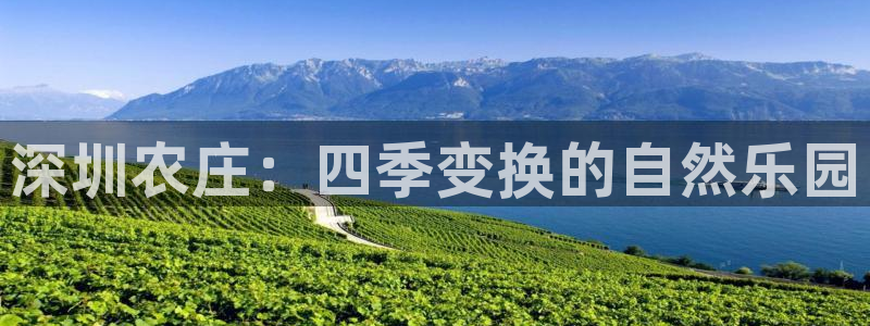 摩根娱乐注册m总管