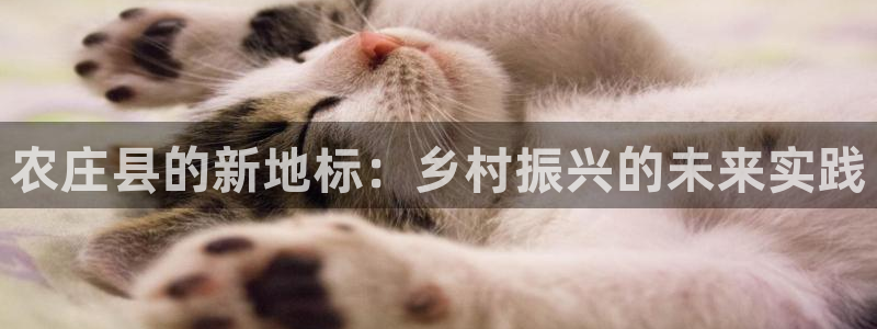 摩根 娱乐宝骗了我