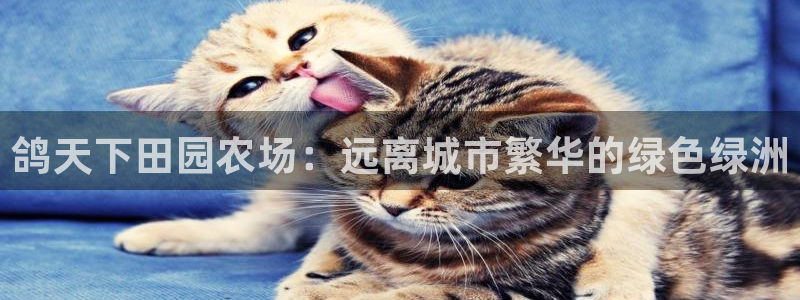 白宫摩根会娱乐会所