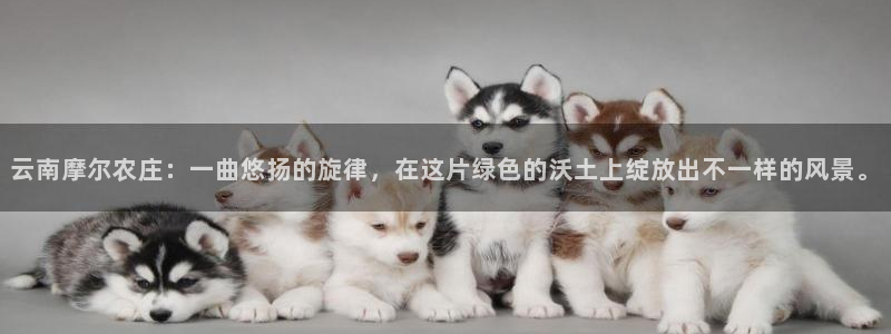 摩根娱乐怎么样