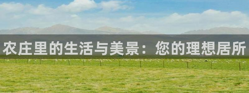 摩根娱乐公司