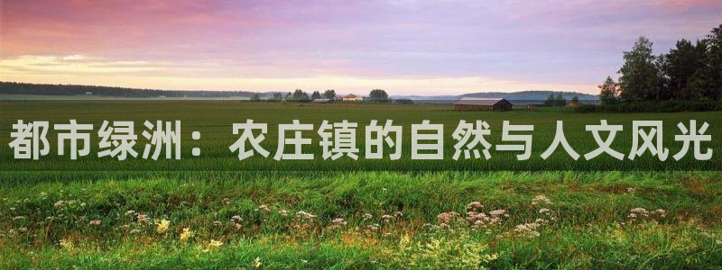 摩根娱乐金光
