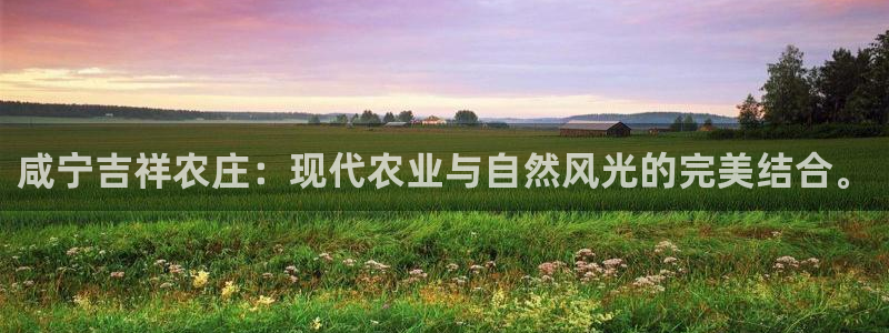 摩根娱乐宝微交易