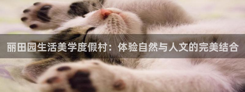 摩根娱乐是什么意思