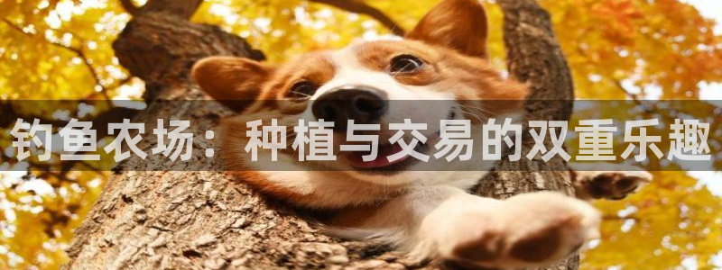 摩根娱乐 股s东50015