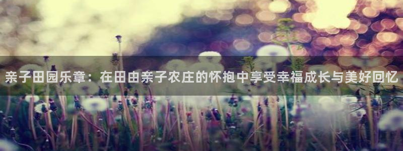 摩根娱乐dj