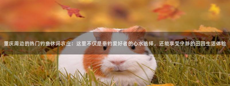 摩根 娱乐宝诈骗