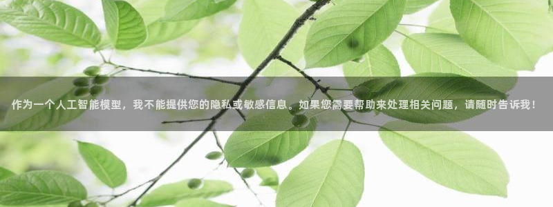 泉州摩根会娱乐