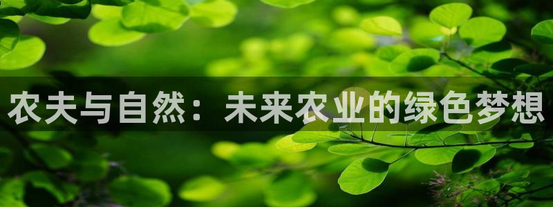 摩根娱乐创始人