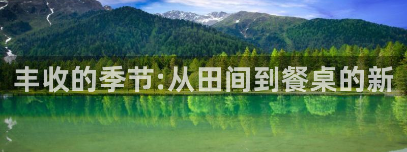 摩根会娱乐有限公司