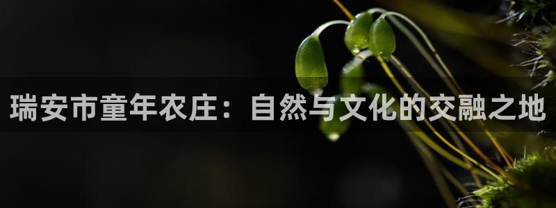 白宫摩根娱乐会所