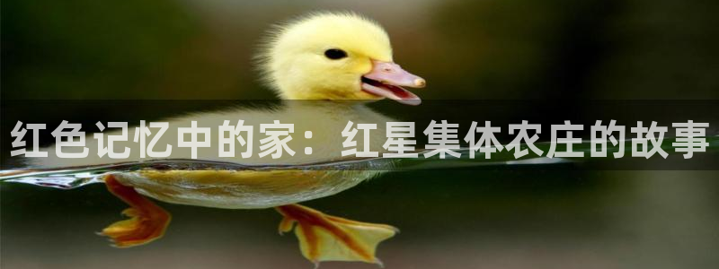 摩根 娱乐宝骗了我