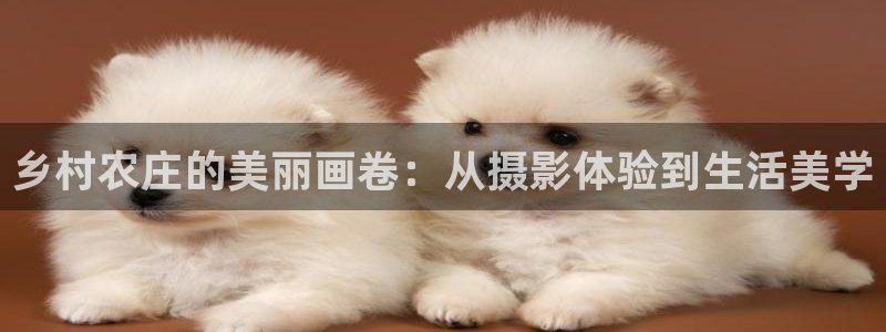 义乌摩根娱乐会所