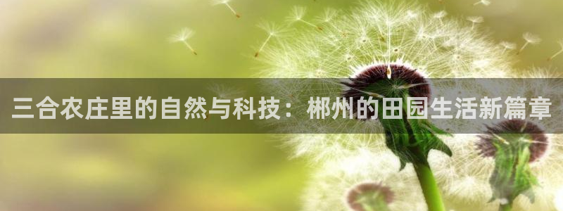 摩根娱乐平台黑