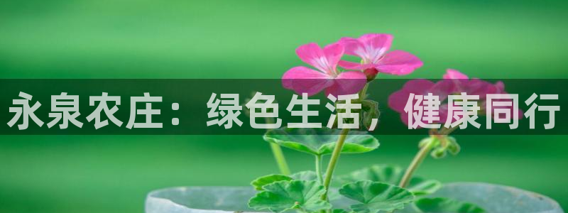 摩根室内娱乐