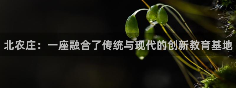 临平摩根娱乐会所电话