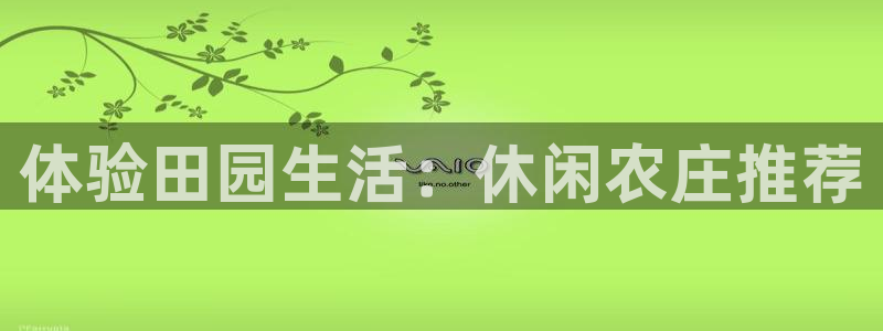 摩根娱乐是什么模式