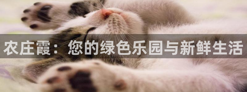 泉州摩根娱乐会所电话多少