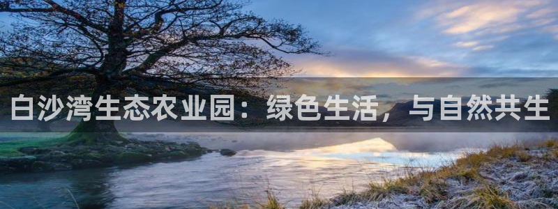 摩根娱乐宝机构代码