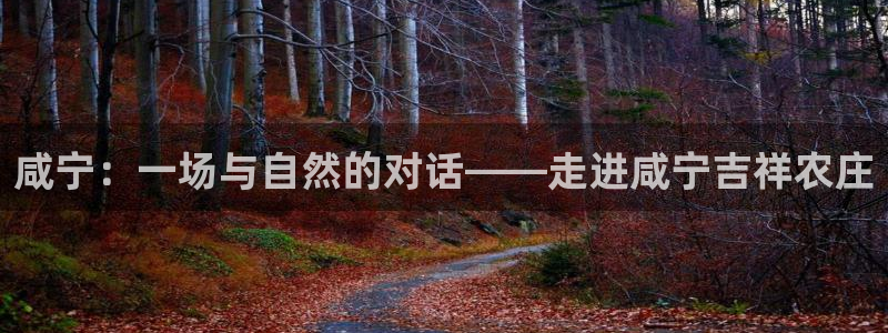 摩根娱乐宝收益怎么样