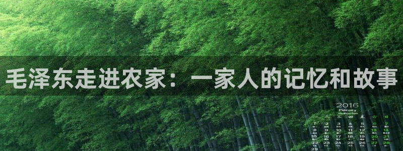 摩根娱乐宝是什么游戏