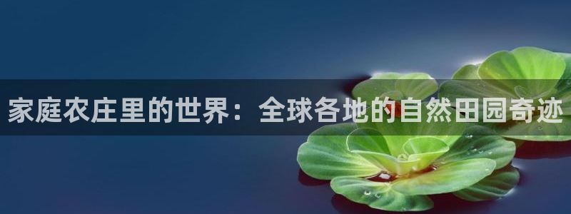 摩根娱乐注册m总管