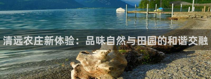 摩根中央公园娱乐