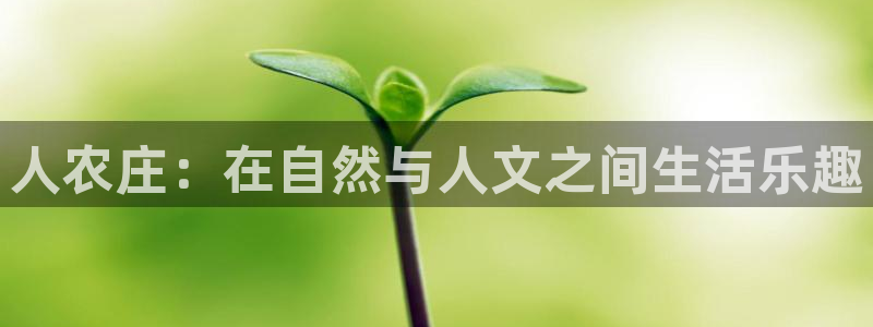 摩根娱乐宝教程