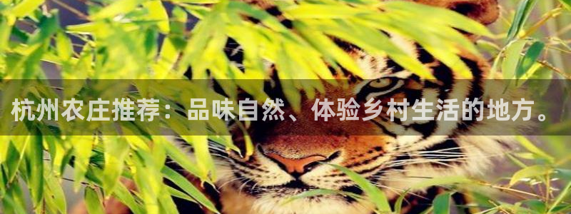 摩根100娱乐会所