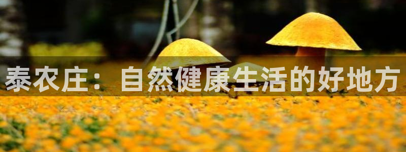 义乌市摩根娱乐会所