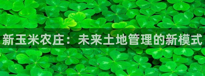 摩根娱乐会所电话