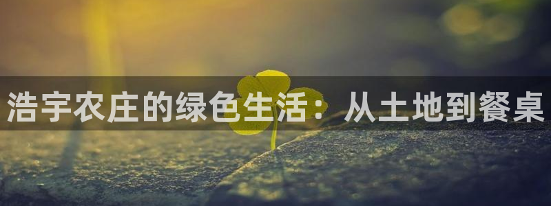 摩根娱乐宝登陆网址