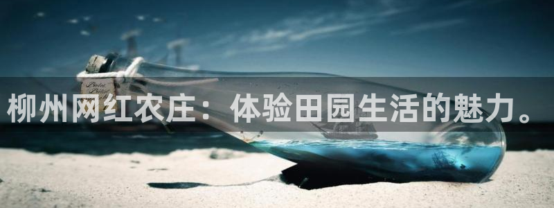 摩根娱乐↑总s管50015