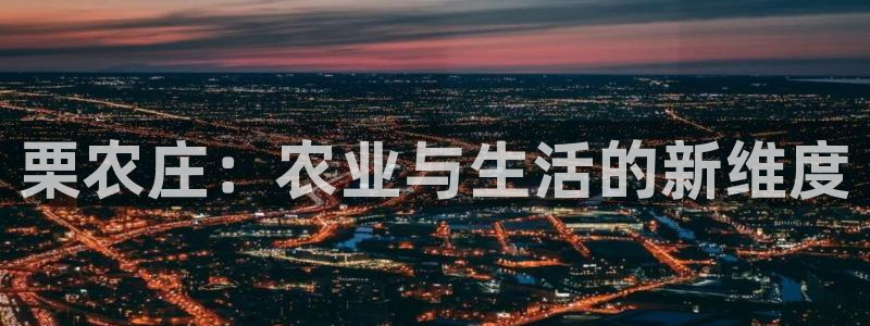 摩根娱乐挂机项目有哪些