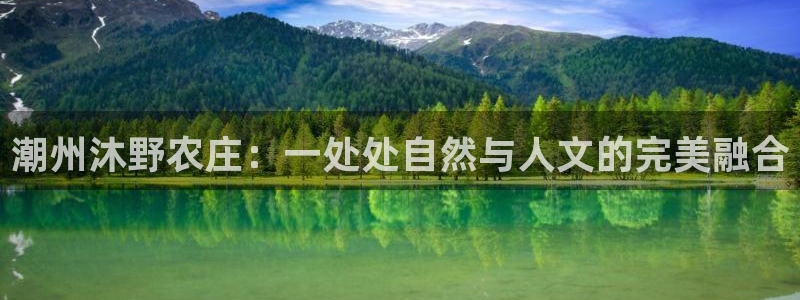 摩根娱乐50186叩