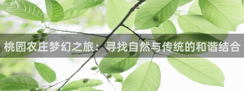 摩根娱乐包是什么意思