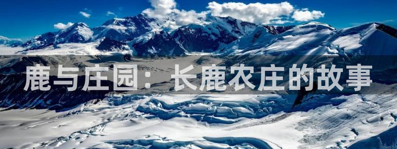 摩根娱乐宝app