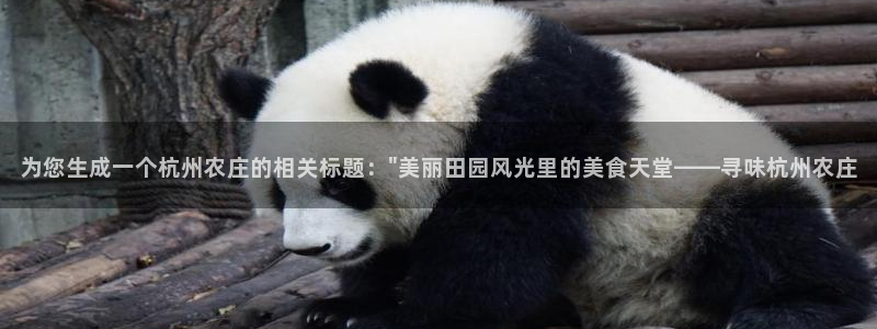 义乌摩根娱乐消费多少