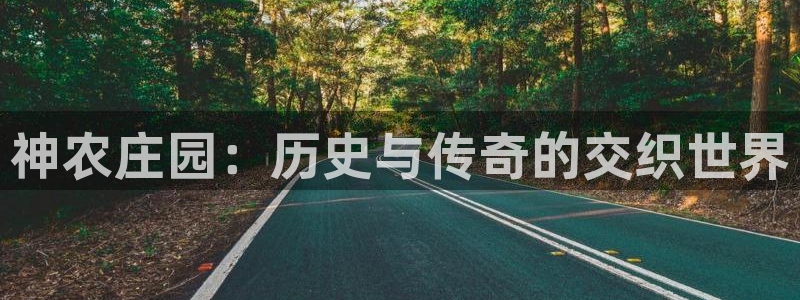 摩根娱乐宝APP下载