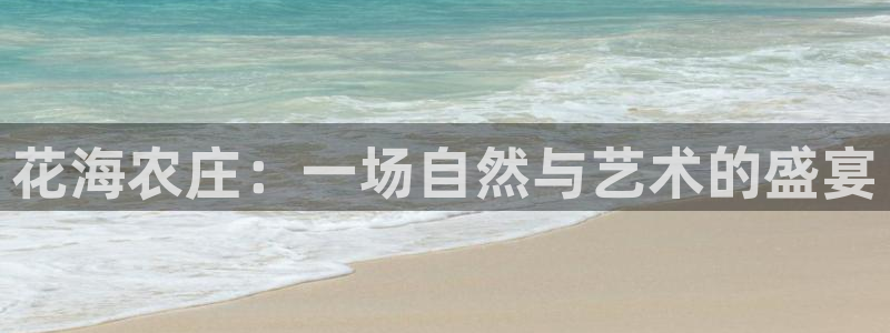 华视娱乐 摩根 王琛