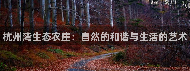 武汉摩根众睿娱乐