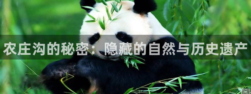 摩根娱乐宝使用操作