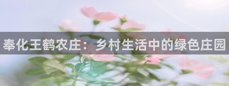 摩根娱乐宝-