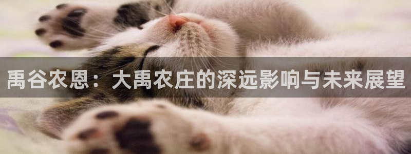 摩根娱乐电玩