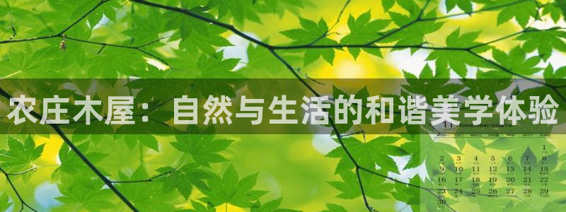 摩根娱乐宝怎么下载