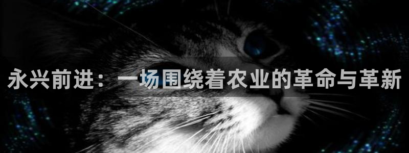 摩根娱乐宝微交易